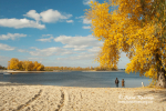 Autumn sunny landscape on river beach