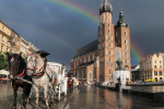 Stroll horse carriage on Main Market Square in Krakow, Poland