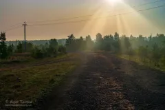 Стіна