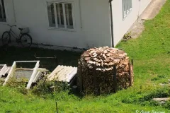 Виженка