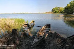 Сула