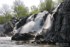 Стеблів