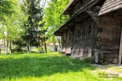 Сокирниця