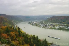 Rhein