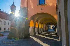 Tarnow