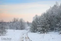 Ірдинські болота