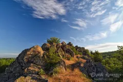 Бузький Гард