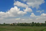 490575_original