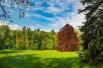 Park of Konopiste castle at springtime, Benesov, Czech republic