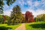 Park of Konopiste castle at springtime, Benesov, Czech republic