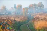 170_44265504_2038184786203753_5052488326016139264_o