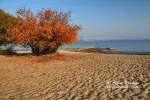 CHerkasy_DSC_8142-copy