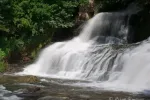 5581