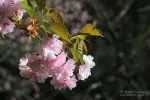 0535