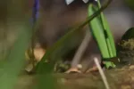0195