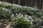 2971