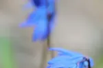 9243