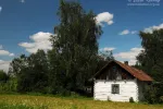 604653_original