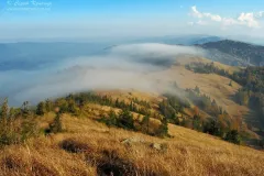 Карпати