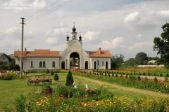 Кохавина