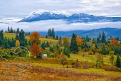 Гуцульщина