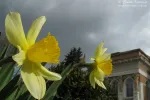 1848