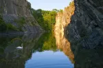White swan on rocky lake ,White swan on rocky lake