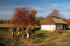 Подніпров'я
