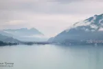 0295