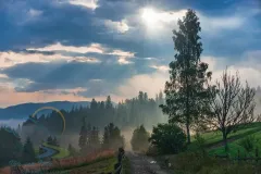 Вороненко
