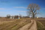 523444_original